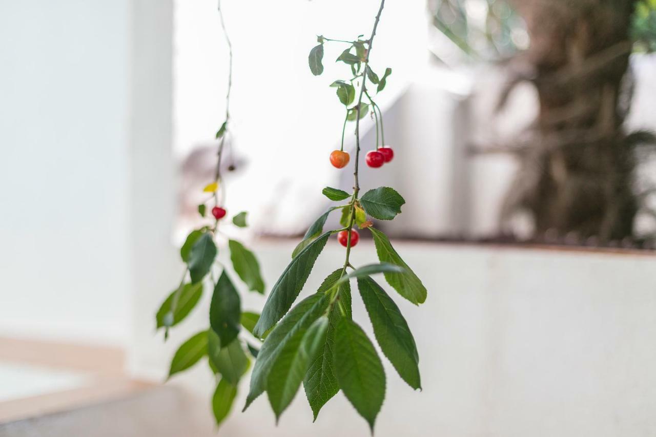 Fragrant Garden Apartment Lisboa Exterior foto